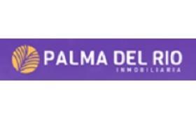 Palma del Rio Holding Inmobiliaria S.A.C.